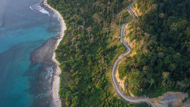 aerial photography of road by trees and and shore during daytime