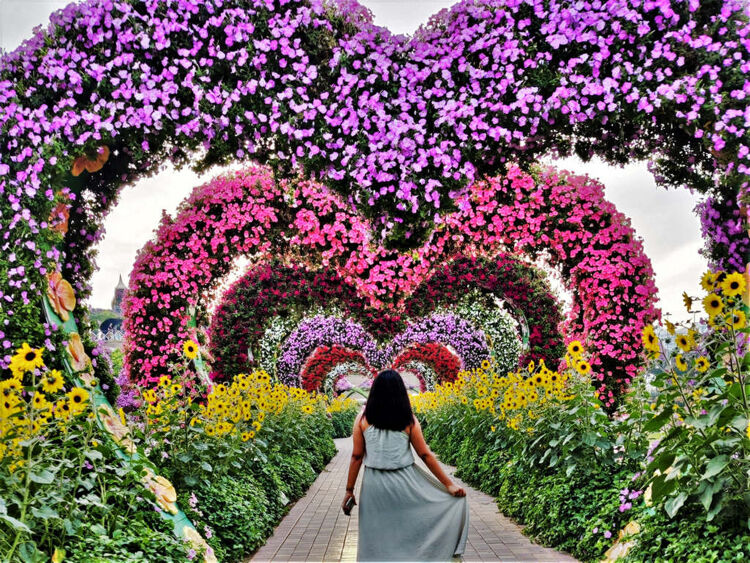 Miracle Garden - Dubai