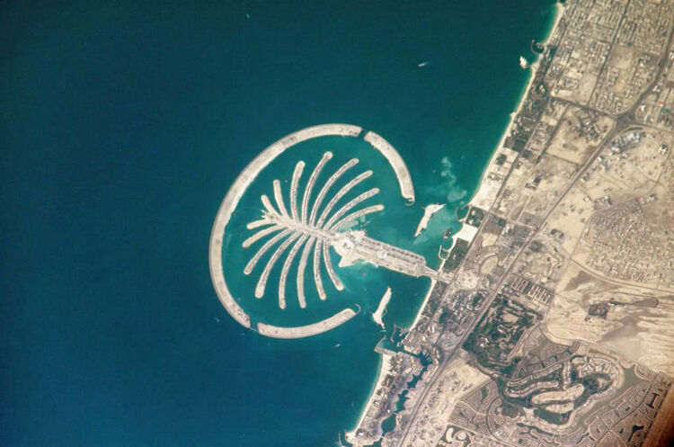 The Palm Jumeirah