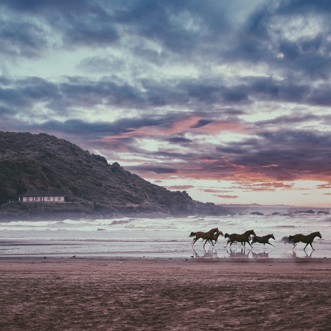 Top 6 places to visit in Gokarna Header Image